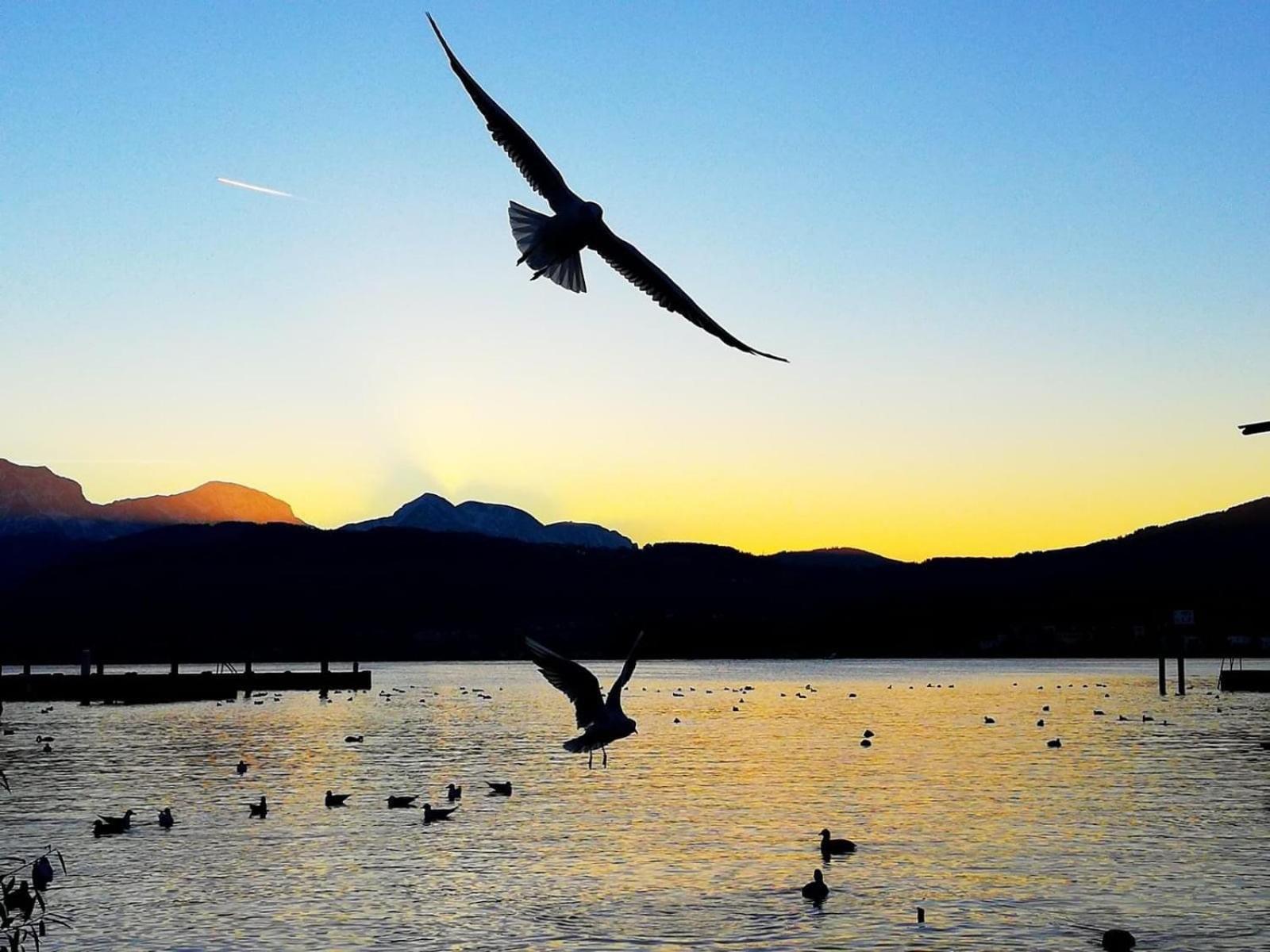 Seepanorama An Der Esplanade 1 Gmunden Exteriér fotografie